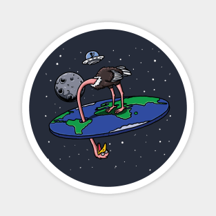Flat Earth Peek Magnet